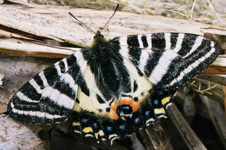 �M�t�`���E