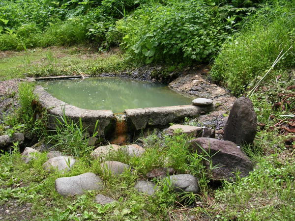 �Ε�����E�I�V���C