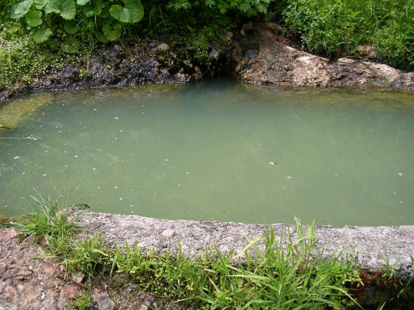 �Ε�����E�I�V���C