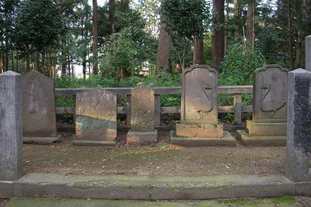 �����Ô�Q