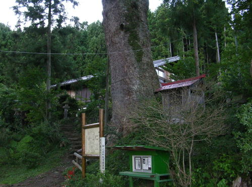 ���΂̃��~