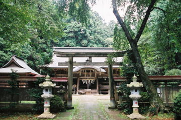 �s�X�Õʐ_��(�n��)�q�a