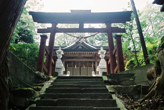 �Γs�X�Øa�C�_�ЁE�q�a