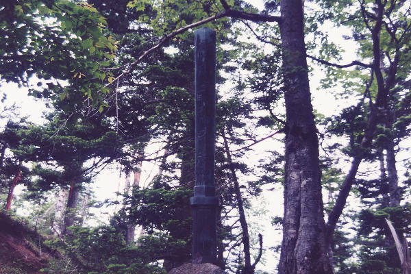 �c�C�R�R���t�߂́u���̌��v