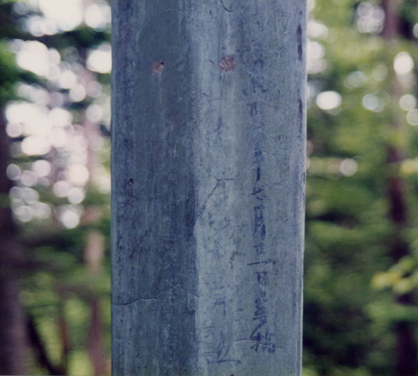 �c�C�R�R���t�߂̐��̌�