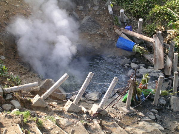 ���Â̑�������