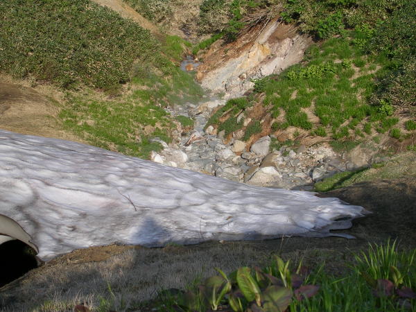 ���Â̑����쌹��