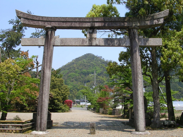 �F�ǐ_�Ћ�������